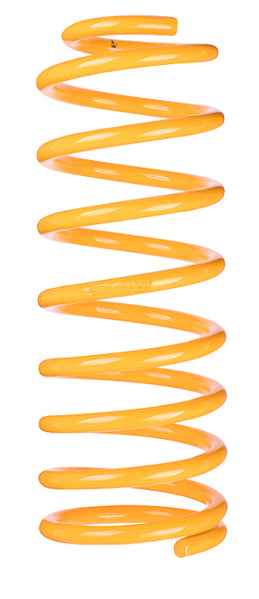 King Springs Ford Everest 2015-Current 50-100kg Rear Coil Spring Raised - KFRR-106 2