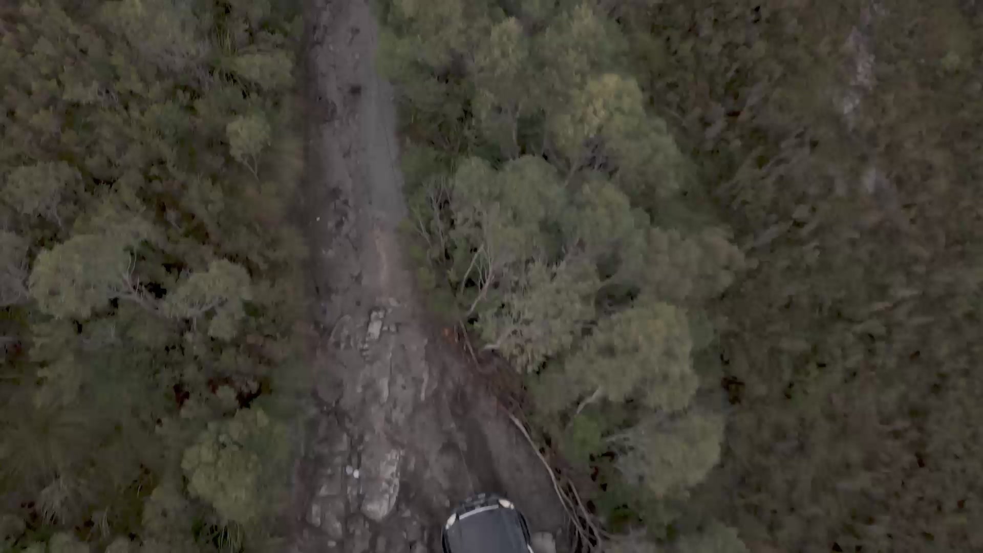 Carbon Offroad