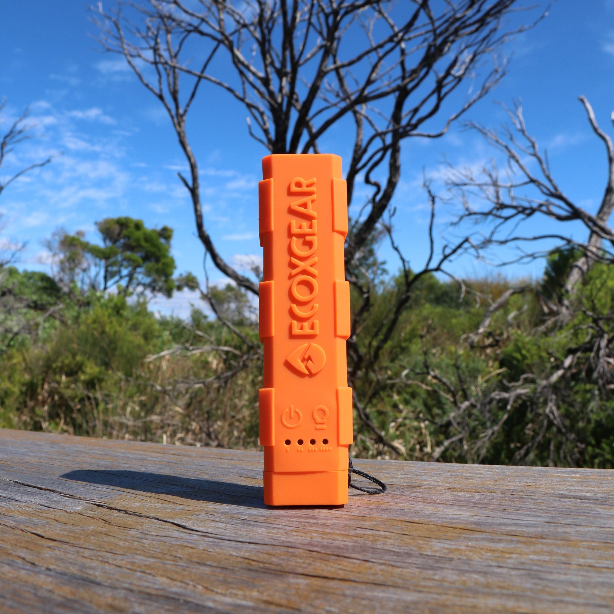 Image of EcoXCharge+ - GDI - EXCH3210AU_Orange 4